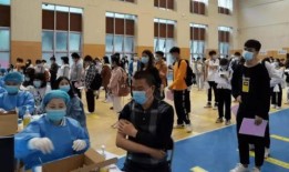 湛江群众爆料事件最新消息,真相逐步浮出水面